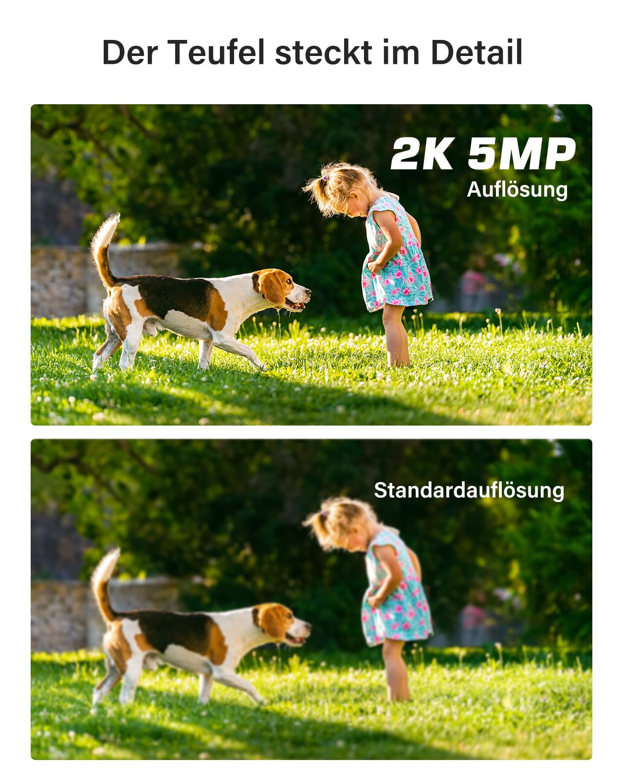 ANNKE 5MP Kamera Set – 8× Innenkameras, 3K Lite 8CH DVR mit 2TB, Personen-/Fahrzeugerkennung, IP67, 30 m EXIR Nachtsicht, Fernzugriff